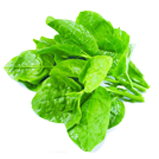 研發(fā)實(shí)力雄厚