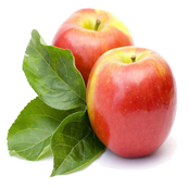 現(xiàn)貨整機(jī)發(fā)貨